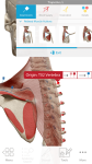 Human Anatomy Atlas 2018: Complete 3D Human Body screenshot 2/3