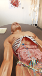 Human Anatomy Atlas 2018: Complete 3D Human Body screenshot 3/3