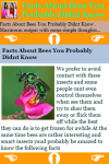 Facts About Bees You Probably Didnt Know screenshot 3/3
