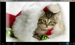 Cute Adorable Animal Wallpaper screenshot 6/6