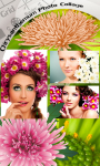 Chrysanthemum Photo Collage screenshot 1/6