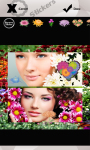 Chrysanthemum Photo Collage screenshot 6/6