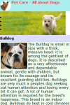 Pet Care - All about Dogs screenshot 2/2