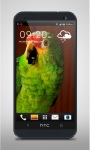 Green Parrot Live Wallpaper screenshot 1/3