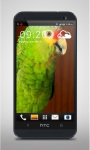 Green Parrot Live Wallpaper screenshot 2/3