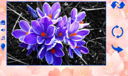 Big puzzles flowers screenshot 3/6