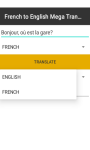 FRENCH to ENGLISH Mega Translator   screenshot 4/4