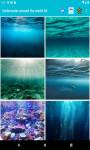 Underwater around the world 4K screenshot 1/6