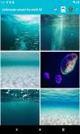 Underwater around the world 4K screenshot 2/6