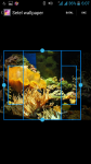 Live Fish Aquarium for Desktop  screenshot 3/4