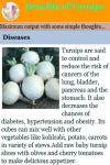 Benefits of Turnips  screenshot 3/3