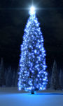 Christmas trees on a mountain Wallpaper HD screenshot 3/3