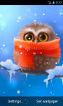 Funny Owl Live Wallpaper screenshot 2/4
