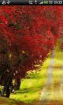 Red Foliage Trees Road Live Wallpaper screenshot 1/4