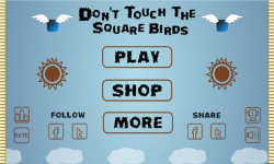 Dont Touch The Square Birds screenshot 1/5