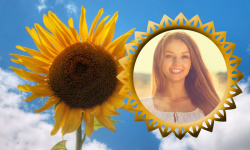 Latest Sunflower Photo Frames screenshot 6/6