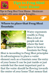 Tips to Feng Shui Your Home screenshot 3/3