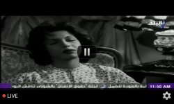 Arabic TV Live screenshot 5/5