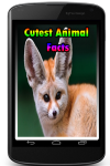 Cutest Animal Facts screenshot 1/3