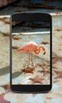 Flamingo Wallpaper screenshot 4/4
