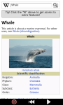 Whales : Ocean Wild Animals screenshot 3/6