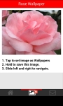 Rose Flower Wallpapers screenshot 3/6