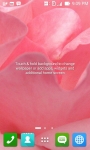 Rose Flower Wallpapers screenshot 6/6