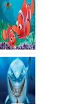 Nemo Wallpaper HD screenshot 2/3