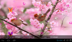 3D Sakura Wallpaper screenshot 5/5
