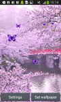 Sakura Live Wallpapers Free screenshot 3/6