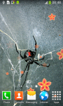 Spider Live Wallpapers Free screenshot 2/6