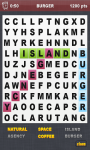 Word Search Puzzle Game screenshot 2/4