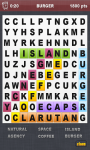 Word Search Puzzle Game screenshot 3/4