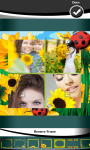 Sunflower Photo Collage screenshot 4/6