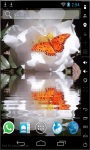 Butterfly On Roses Live Wallpaper screenshot 1/2