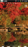 Lake Fall Autumn Live Wallpaper screenshot 1/6