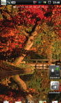 Lake Fall Autumn Live Wallpaper screenshot 5/6
