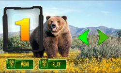 Bear Simulator 3D screenshot 4/6