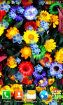 Top Flowers Live Wallpapers screenshot 5/6