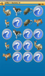 Forest Animale Memory Game Free screenshot 3/4