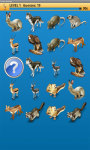 Forest Animale Memory Game Free screenshot 4/4