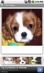 Cute Puppy FREE screenshot 3/3