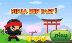 Run Ninja Fast screenshot 1/5