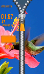 Zipper Lock Screen Hummingbird screenshot 5/6