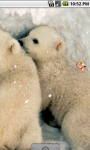 Cute Little Polar Bears Live Wallpaper screenshot 1/4