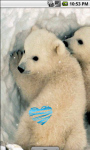 Cute Little Polar Bears Live Wallpaper screenshot 2/4