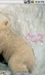 Cute Little Polar Bears Live Wallpaper screenshot 3/4