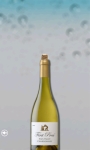 A Bottle of Champagne screenshot 1/2