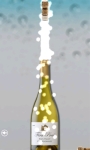 A Bottle of Champagne screenshot 2/2