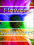 Beautiful Flower Wallpapers screenshot 1/3